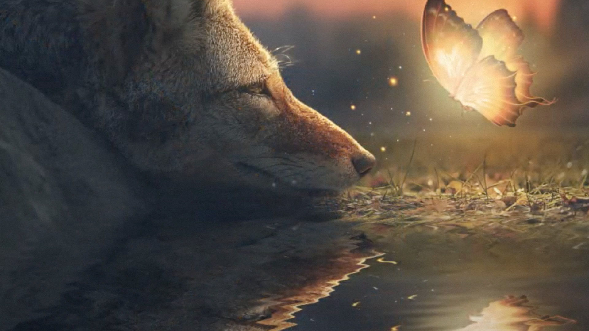 Affinity Photo - Affinity Tutorials